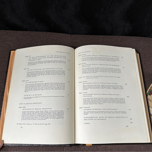 The Odyssey • Homer | Collector’s Edition - Picture 8 of 15